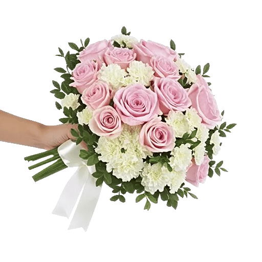 Blushing Rose Symphony