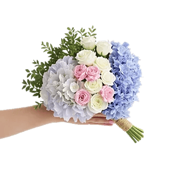 Sapphire Bloom Whisper