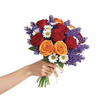 Blushing Rose Symphony