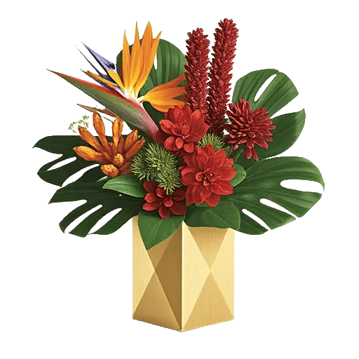 Tropical Sunflower Burst