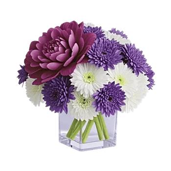 Petal Radiance Bliss