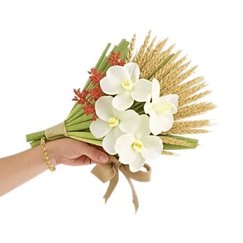 Modern White Orchids