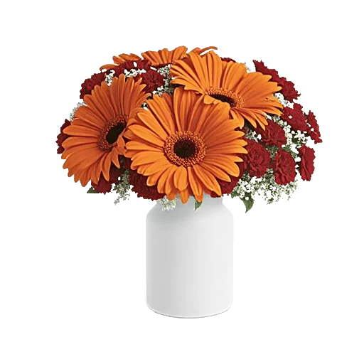 Petal Harmony Bliss