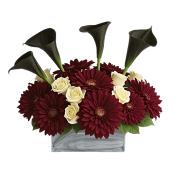 Elegant Calla Lilies