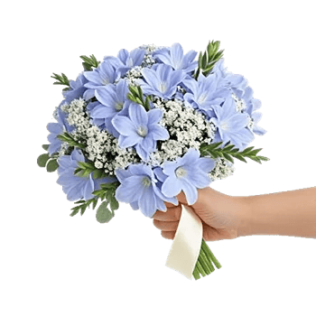 Sapphire Bloom Whisper