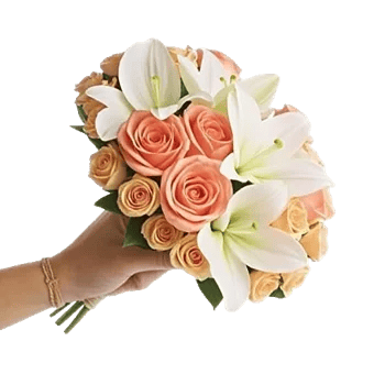 Blossom Harmony Display