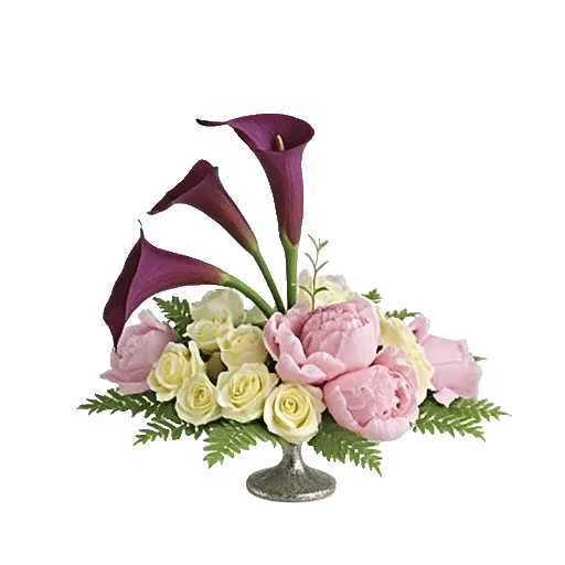 Elegant Calla Lilies