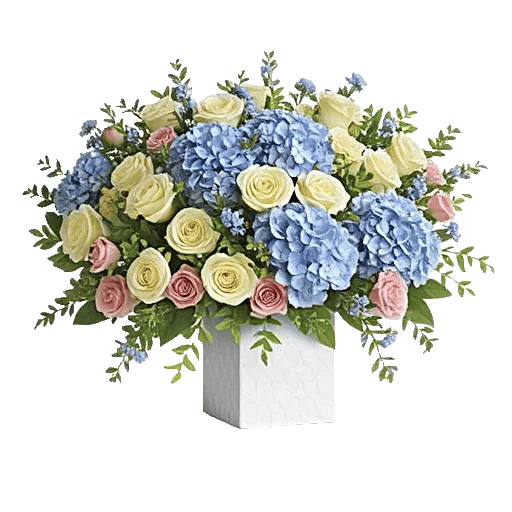 Blooming Serenity Display