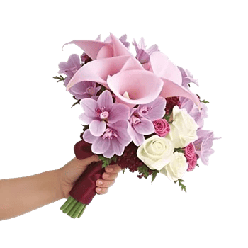 Elegant Calla Lilies