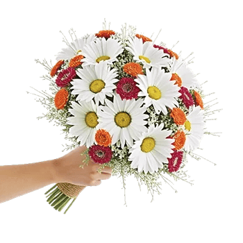 Daisy Meadow Spread