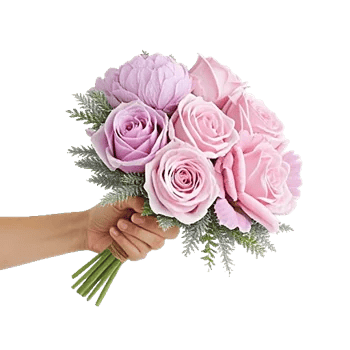 Pastel Pink Roses