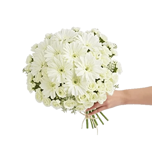 Delicate Petal Cascade