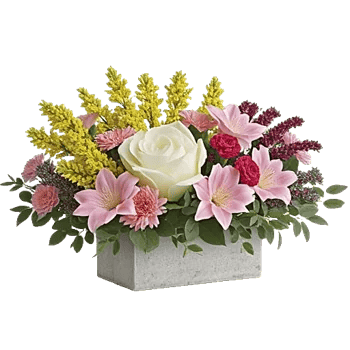 Delicate Petal Cascade
