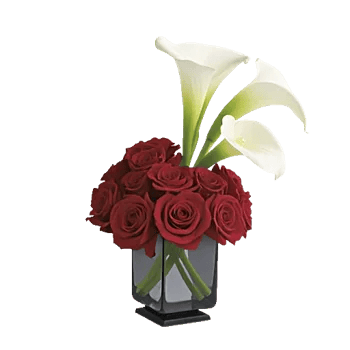 Elegant Calla Lilies