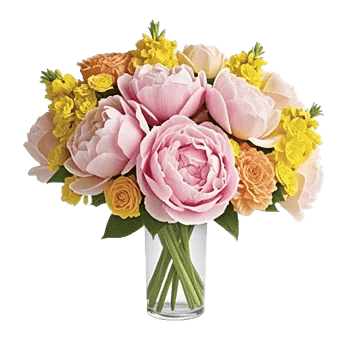 Petal Radiance Bliss