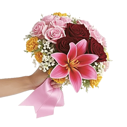 Blushing Rose Symphony