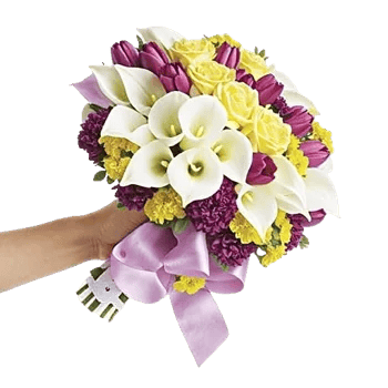 Delicate Petal Cascade