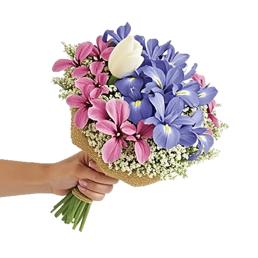 Blossom Harmony Display