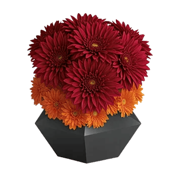 Crimson Blossom Harmony