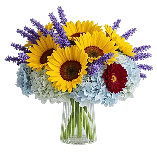 Radiant Bloom Cascade