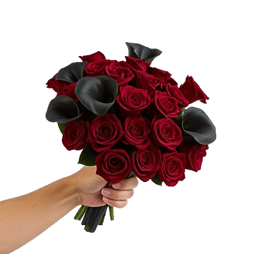 Crimson Rose Elegance