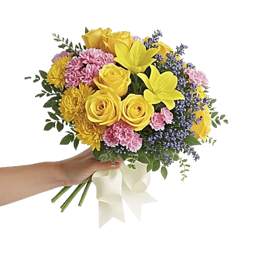 Blossom Harmony Display