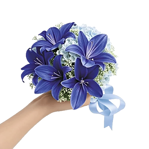 Elegant Blue Roses