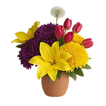 Petal Radiance Bliss