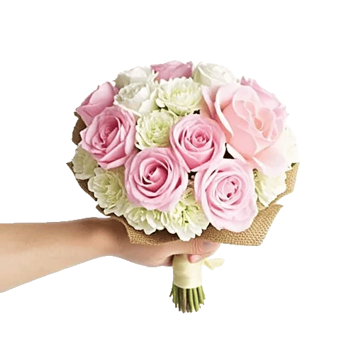 Pastel Pink Roses