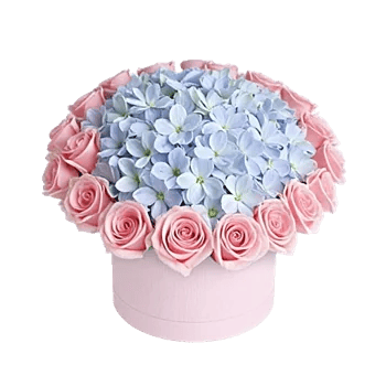 Serene Petal Harmony