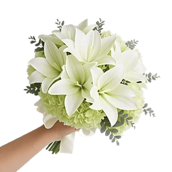 Graceful Lily Display