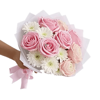 Blushing Rose Symphony