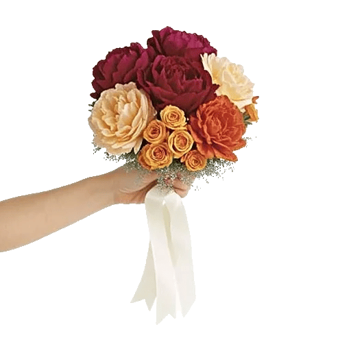 Peony Petal Harmony