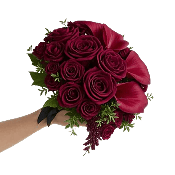 Elegant Calla Lilies