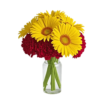 Petal Radiance Bliss
