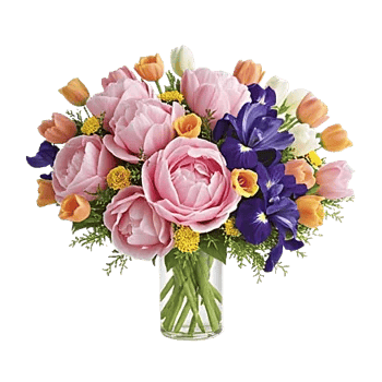 Petal Radiance Bliss