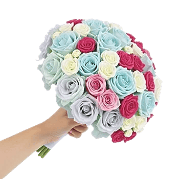 Serene Petal Harmony