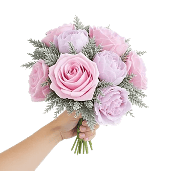 Pastel Pink Roses