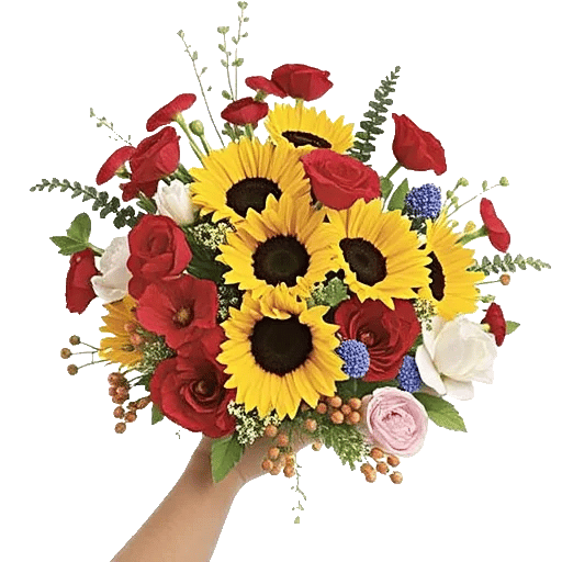 Petal Radiance Bliss