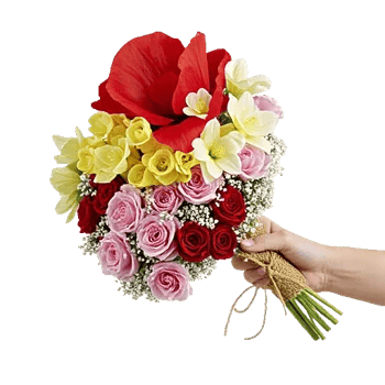 Petal Radiance Bliss
