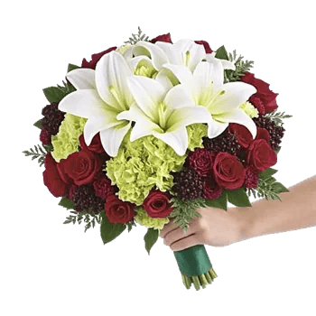 Elegant Calla Lilies