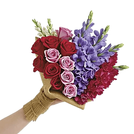 Delicate Petal Cascade