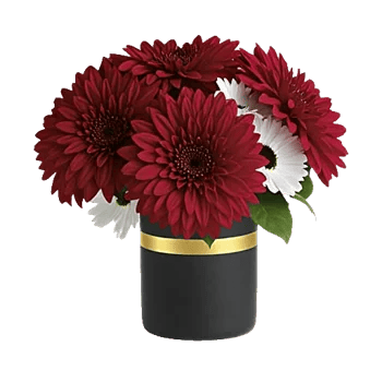 Crimson Blossom Harmony