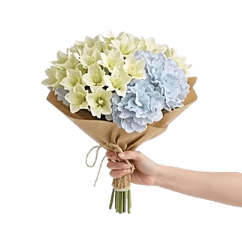 Serene Petal Harmony