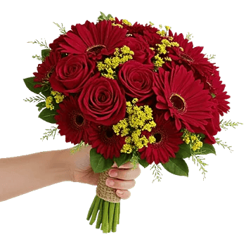 Crimson Rose Elegance