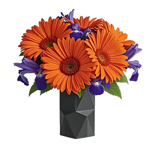 Petal Harmony Bliss