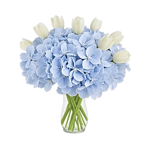 Azure Sky Blooms