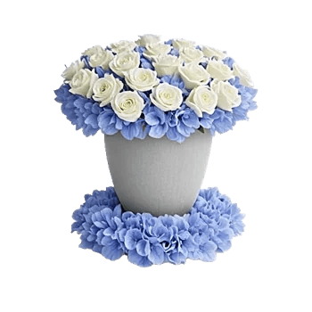 Elegant Blue Roses