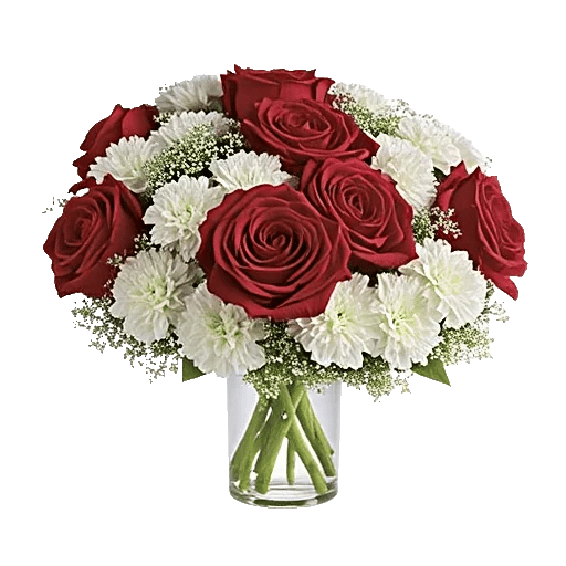 Crimson Blossom Harmony