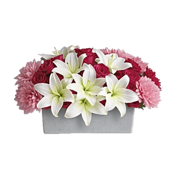 Graceful Lily Display